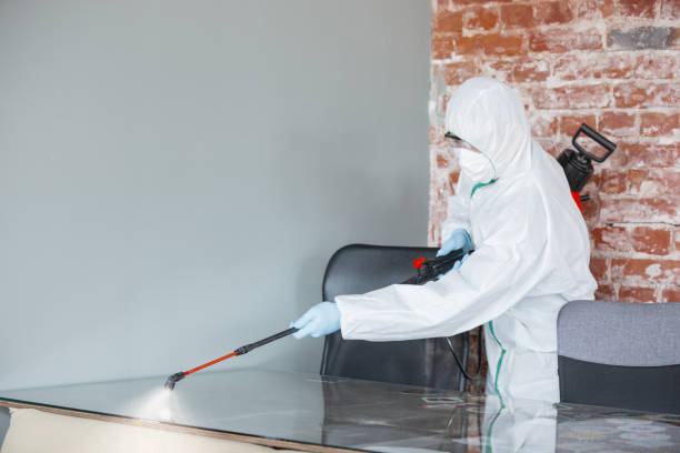 Best Mold Removal for HVAC Installations in Franklin Grove, IL